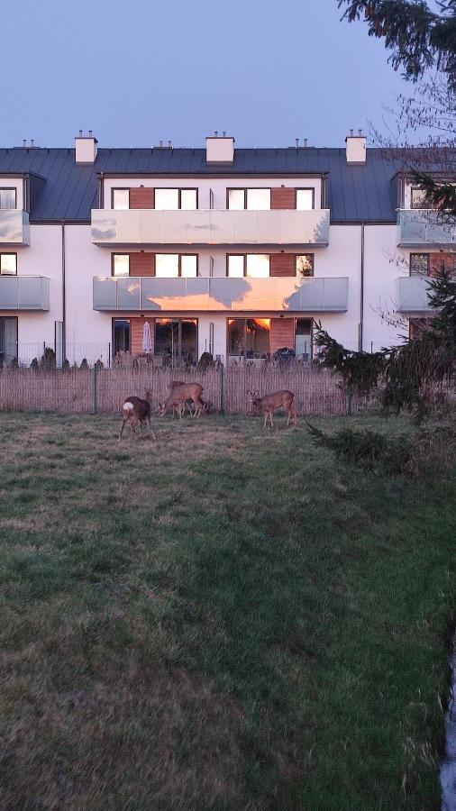 Luxholiday Grzybowo  Buitenkant foto